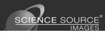 Science Source Images